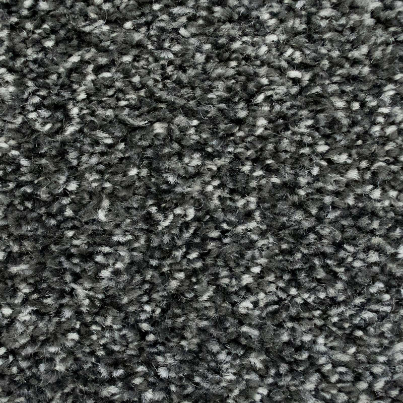 Anthracite Supreme Action Back Saxony Carpet - Close