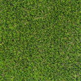 Basil 30mm Artificial Grass