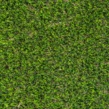 Basil 30mm Artificial Grass