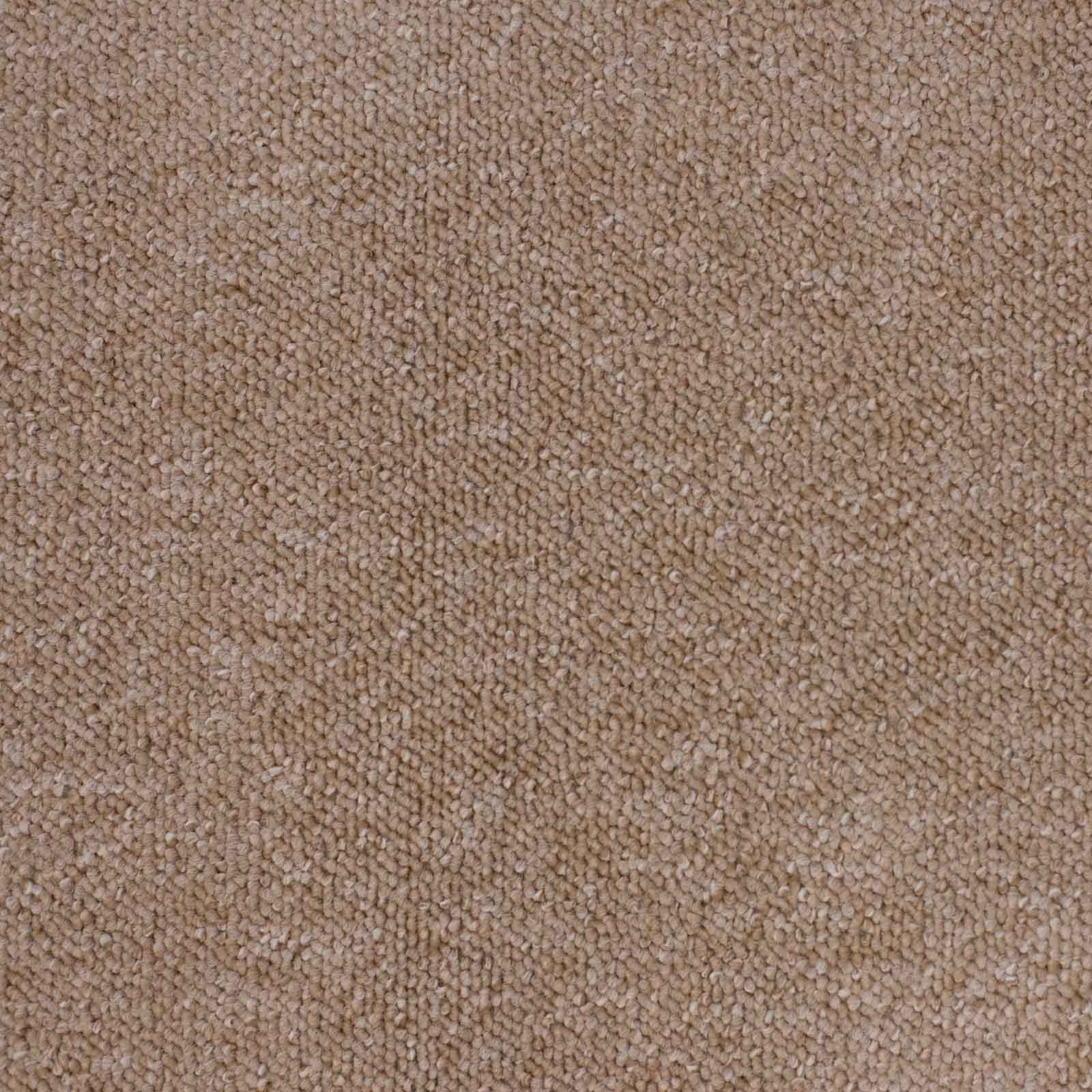 Beige Vegas Loop Carpet