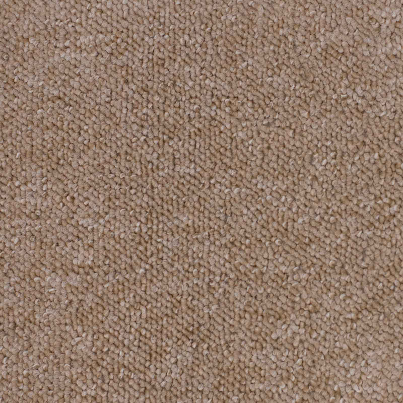 Beige Vegas Loop Carpet