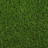 Bergamont 32mm Artificial Grass - Close