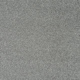 Bergen Frost Sensation Heathers 60oz Carpet