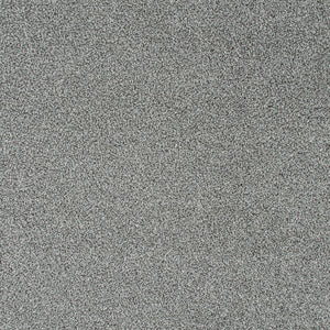 Bergen Frost Sensation Heathers 60oz Carpet