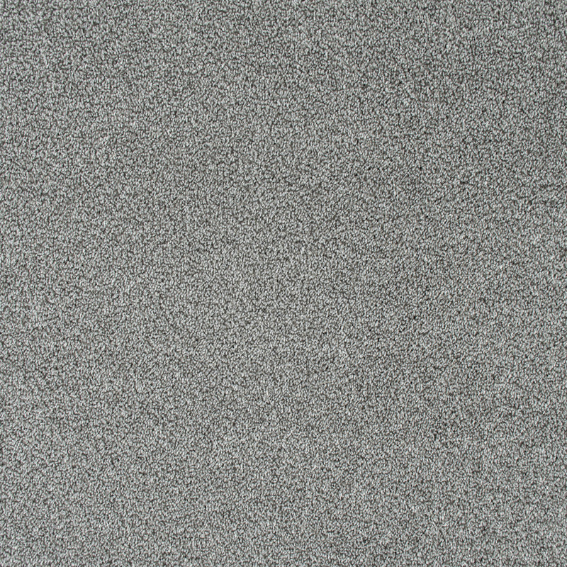 Bergen Frost Sensation Heathers 60oz Carpet