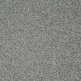 Bergen Frost Sensation Heathers 60oz Carpet