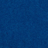 Blue Outdoor Carpet - Close