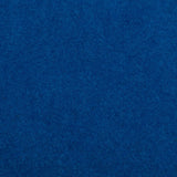 Blue Outdoor Carpet - Far