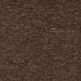 Brown Vegas Loop Carpet