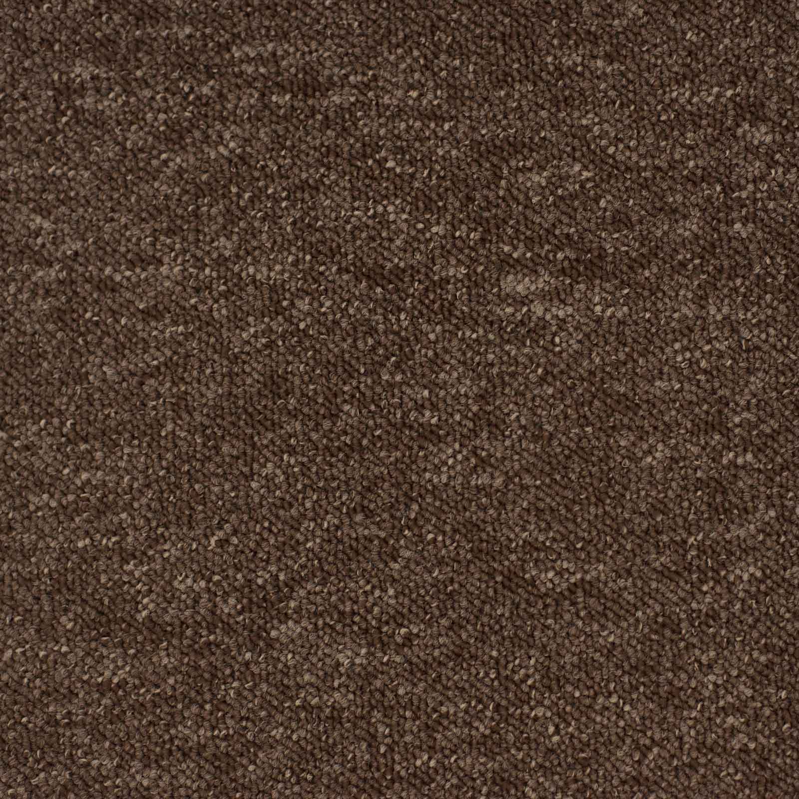 Brown Vegas Loop Carpet