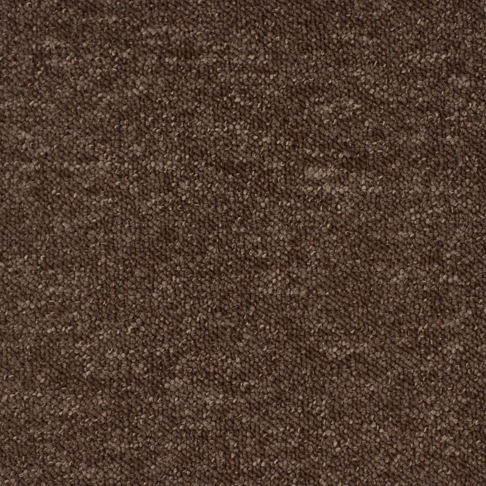 Brown Vegas Loop Carpet