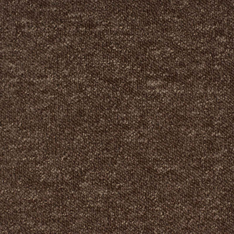 Brown Vegas Loop Carpet