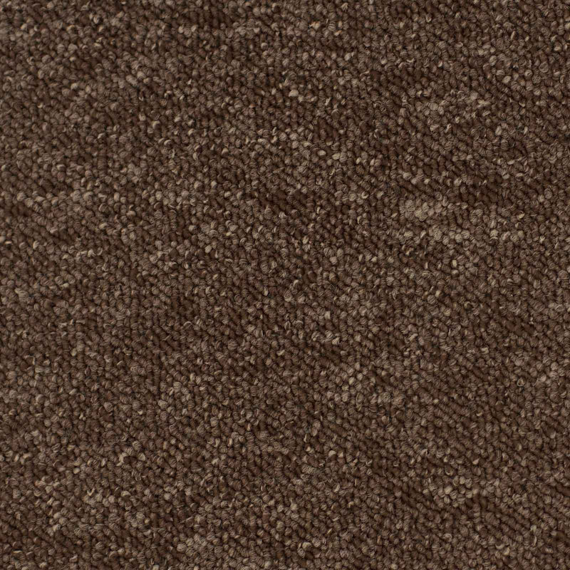 Brown Vegas Loop Carpet