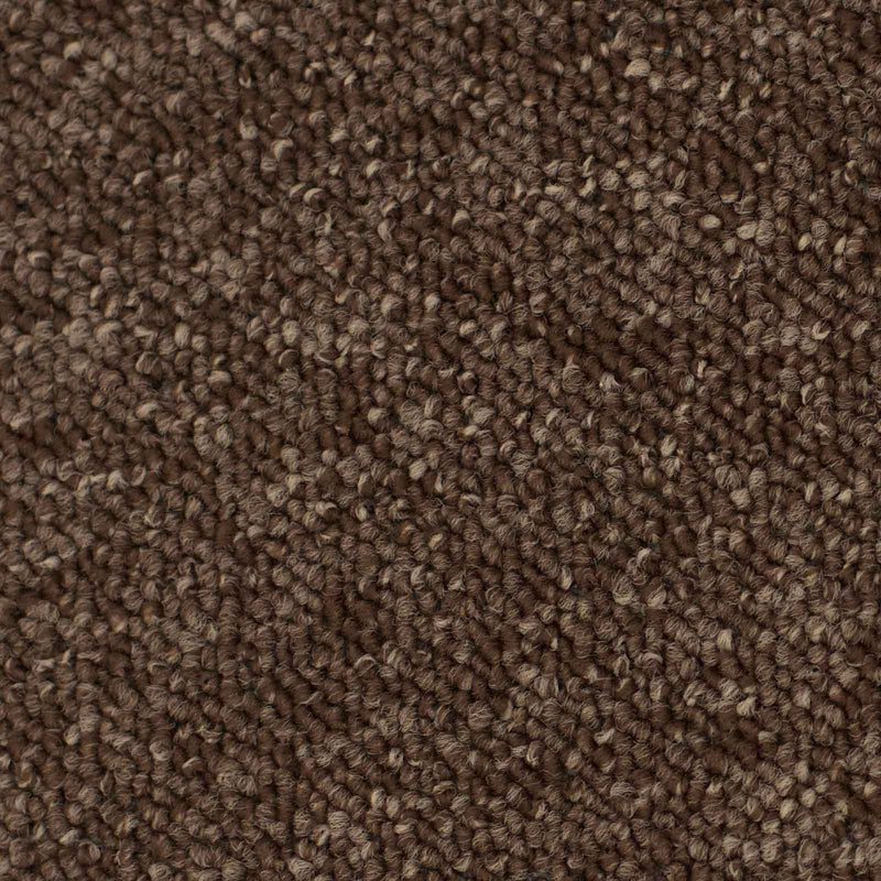Brown Vegas Loop Carpet