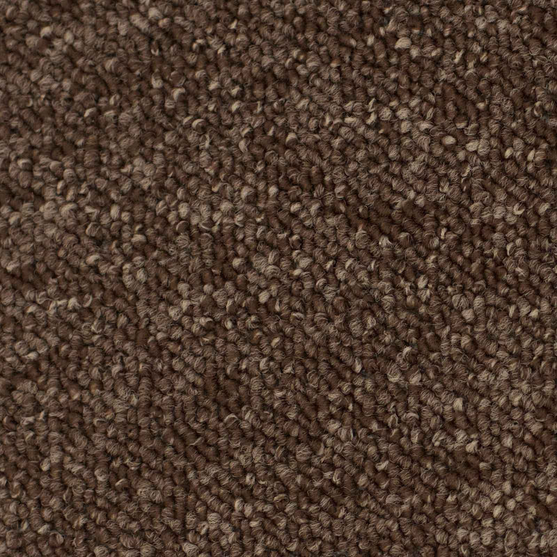 Brown Vegas Loop Carpet