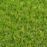 Calla 37mm Artificial Grass