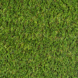 Calla 37mm Artificial Grass