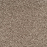 Canyon Glow Sensation Heathers 60oz Carpet