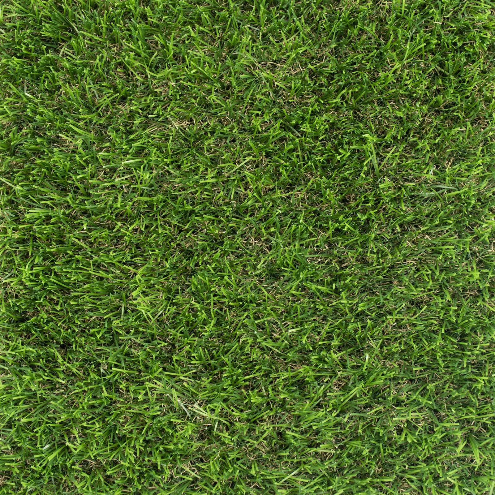 Caraway 40mm Artificial Grass