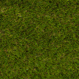 Cardamon Artificial Grass - Close