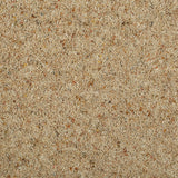 Chamois Natural Berber Twist Deluxe 55oz Carpet