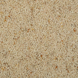 Coconut Natural Berber Twist Deluxe 55oz Carpet
