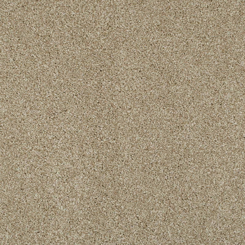 Cornsilk 12 Lasting Romance Love Story Carpet