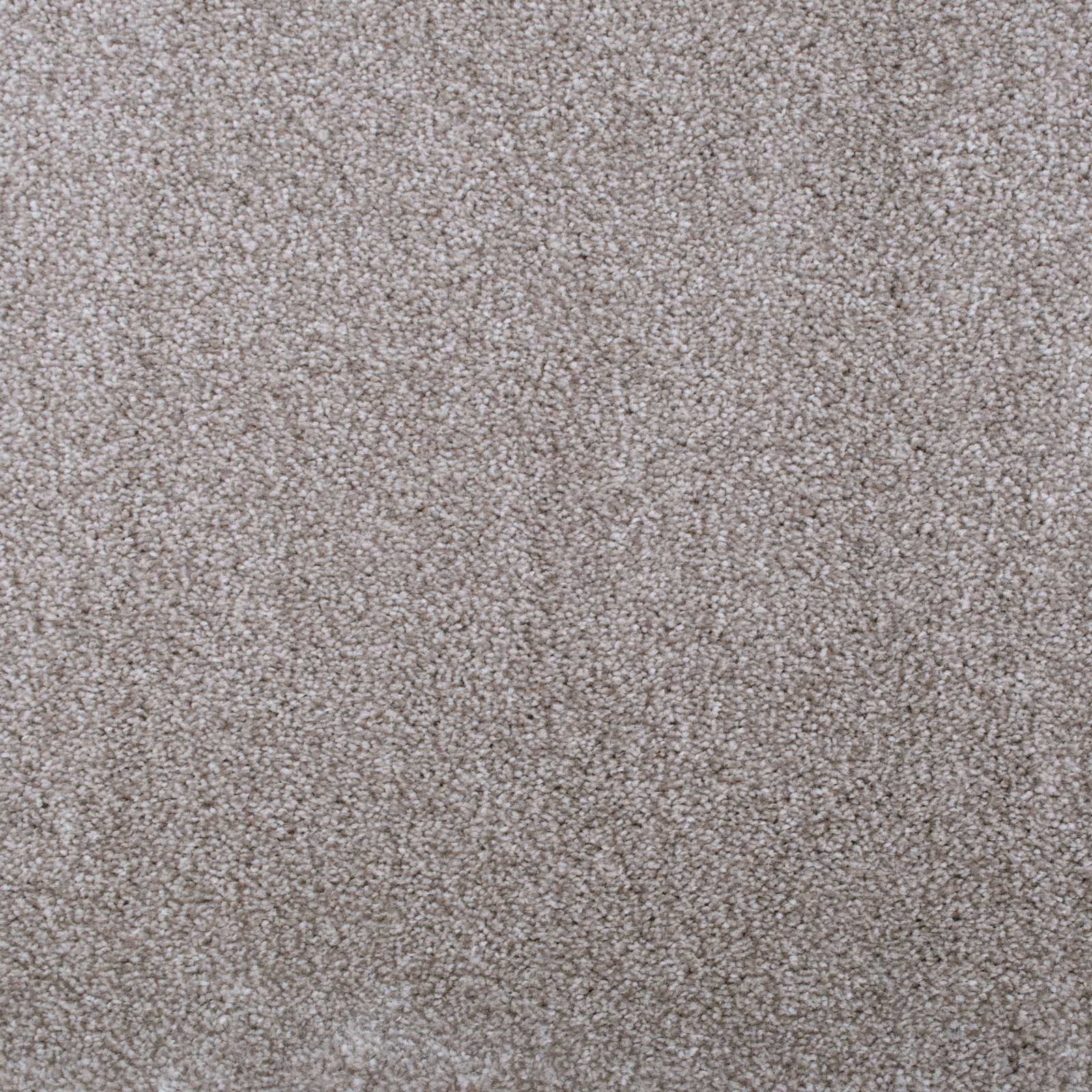 Cream & Dark Beige Supreme Felt Back Saxony Carpet - Far