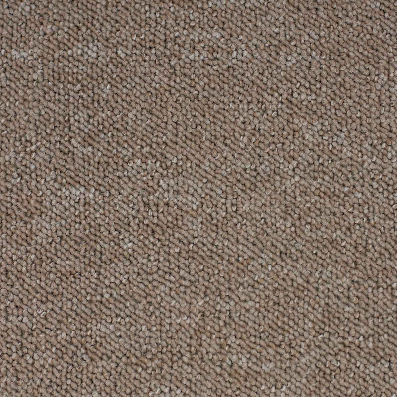 Dark Beige Vegas Loop Carpet