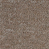 Dark Beige Vegas Loop Carpet