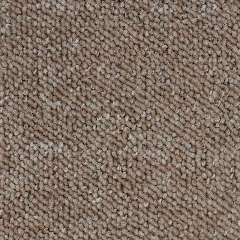 Dark Beige Vegas Loop Carpet