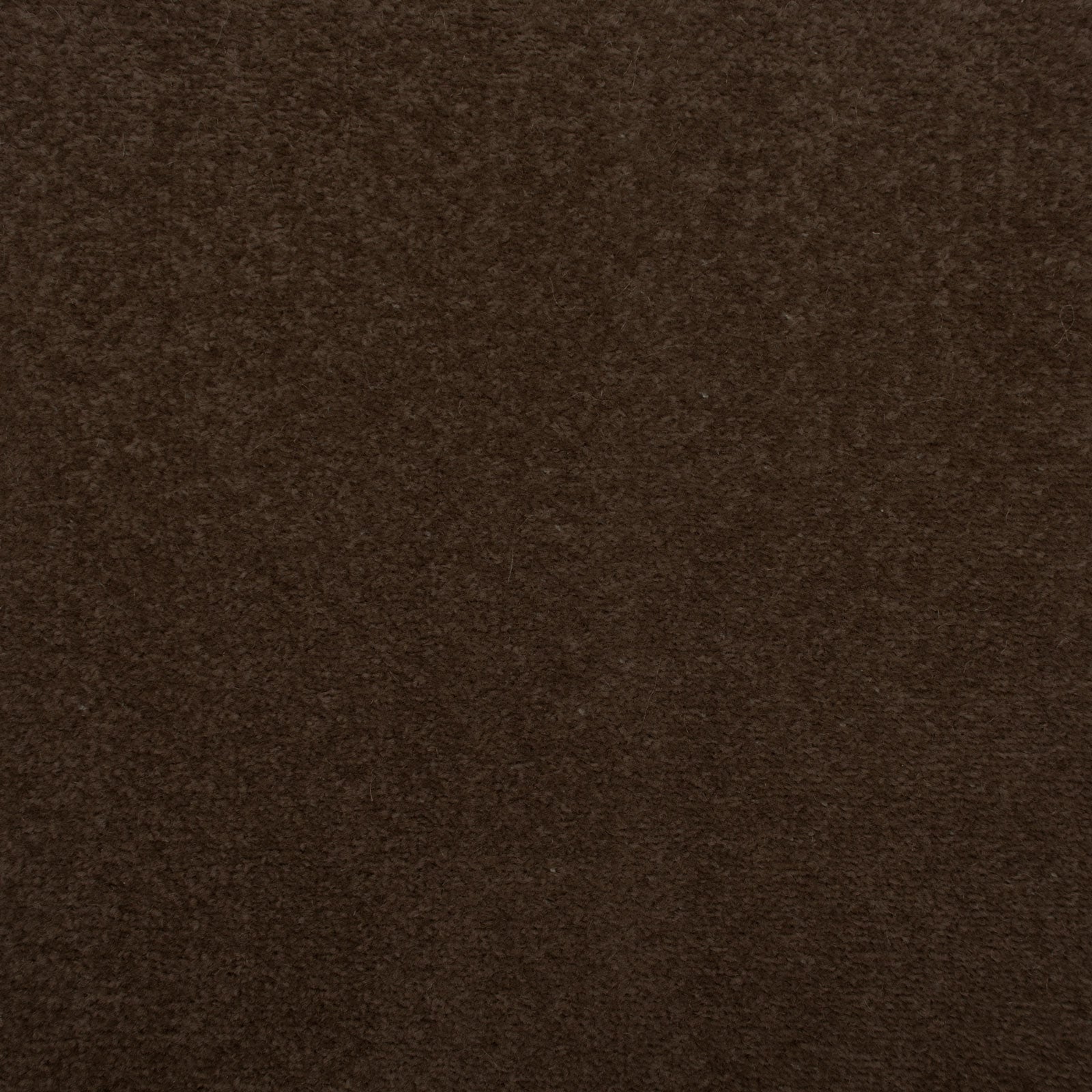 Dark Brown Oxford Twist Carpet - Far