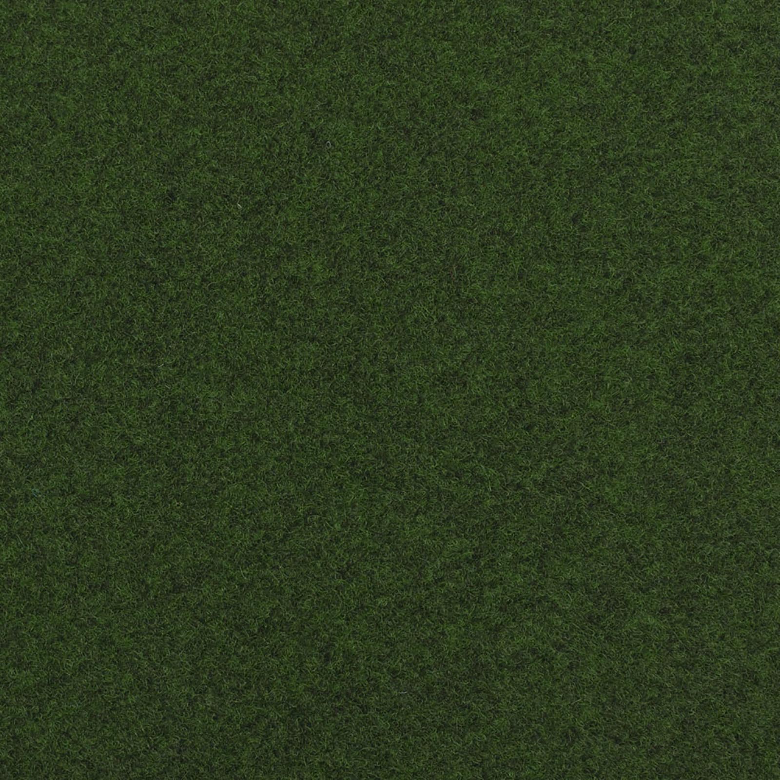 Dark Green Outdoor Carpet - Far