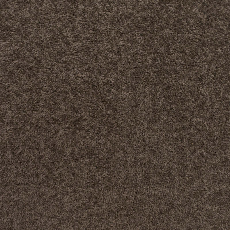 Dark Grey Brown Felt Back Twist Carpet - Far