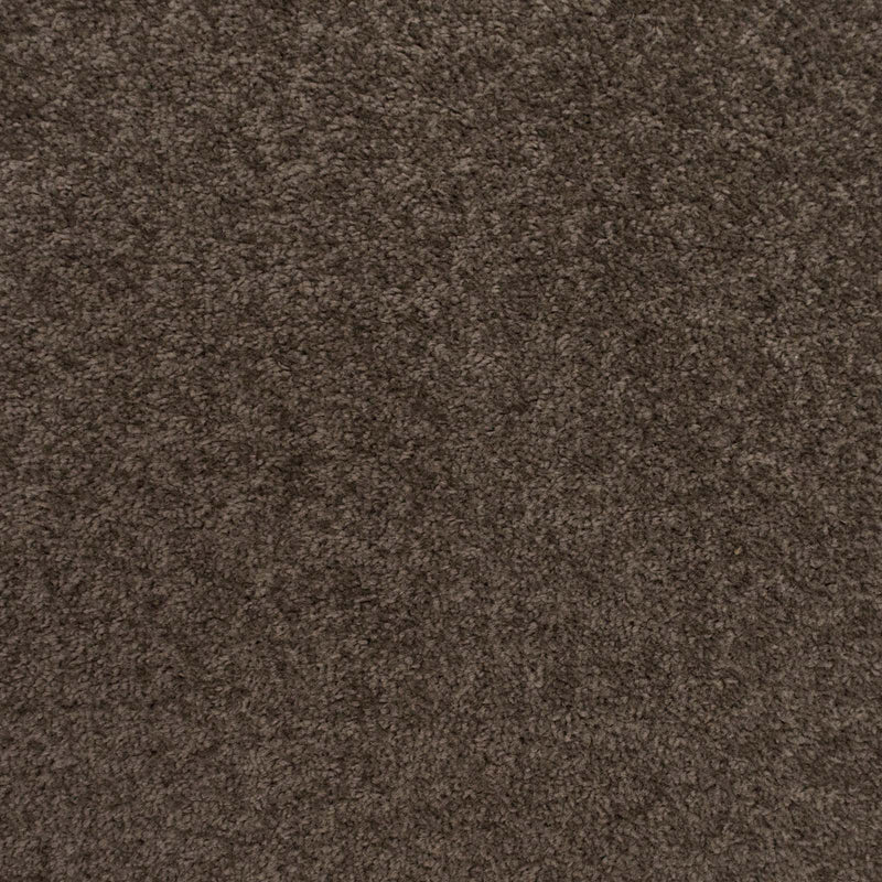 Dark Grey Brown Felt Back Twist Carpet - Far
