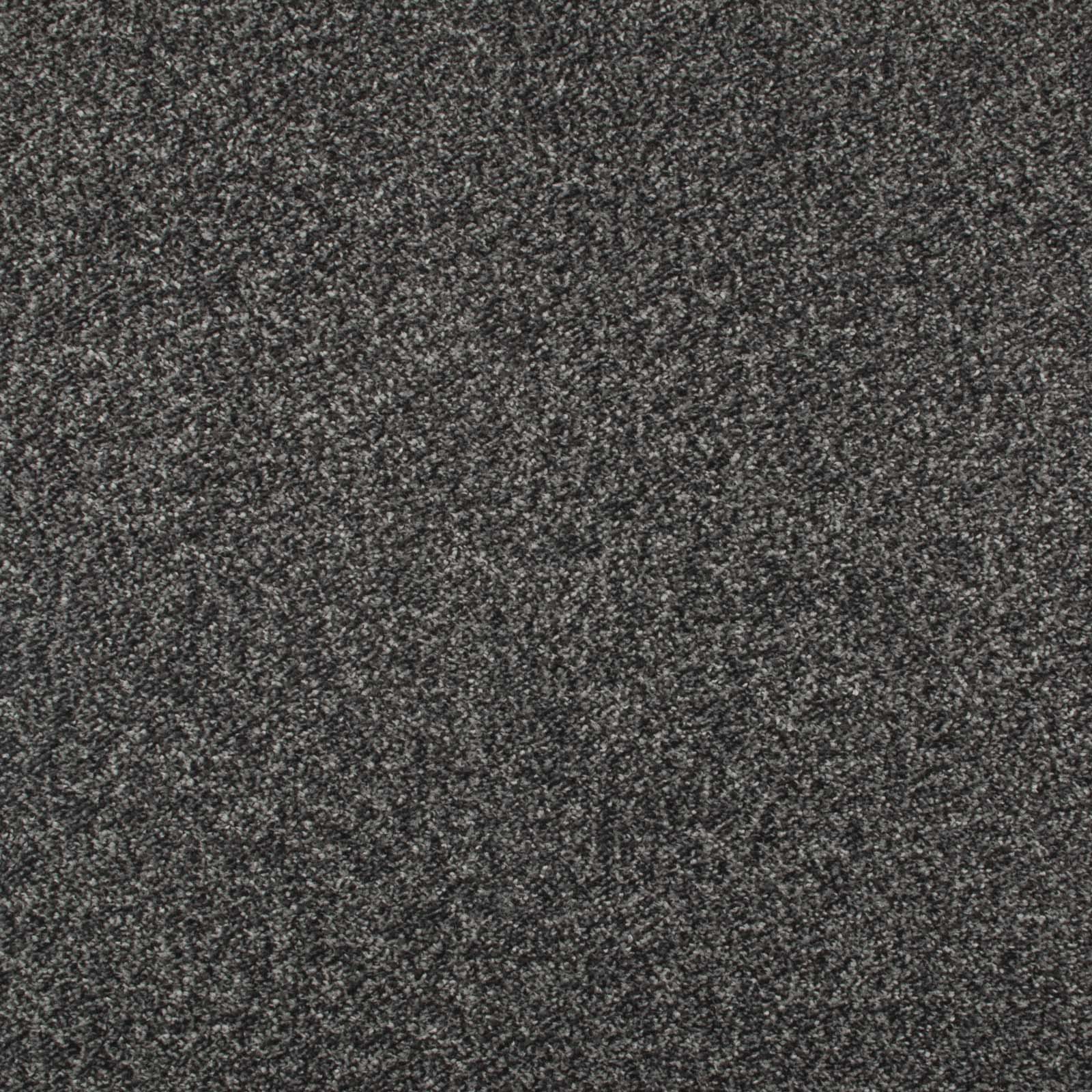 Dark Grey Admiral Saxony Carpet - Far