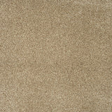 Dunmore Creek Sensation Heathers 60oz Carpet