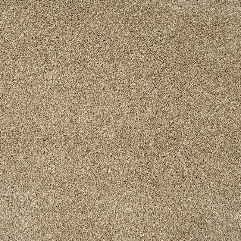 Dunmore Creek Sensation Heathers 60oz Carpet