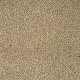 Dunmore Creek Sensation Heathers 60oz Carpet