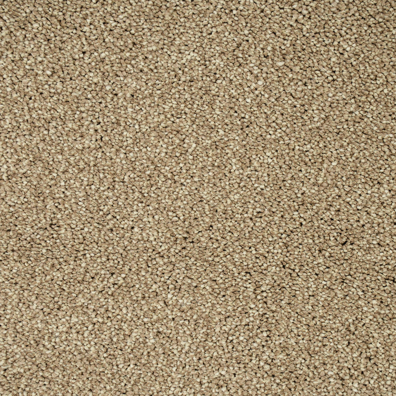 Dunmore Creek Sensation Heathers 60oz Carpet