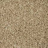 Dunmore Creek Sensation Heathers 60oz Carpet