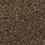 Earth Brown Liberty Heathers Twist Carpet - Close