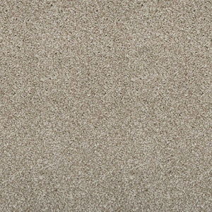 Earthy Beige Supreme Felt Back Saxony Carpet - Far