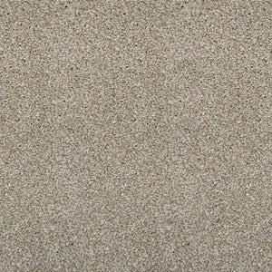 Earthy Beige Supreme Felt Back Saxony Carpet - Far