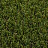 Fennel Artificial Grass - Close Detail