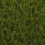 Fennel Artificial Grass - Close Detail