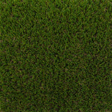 Fennel Artificial Grass - Far