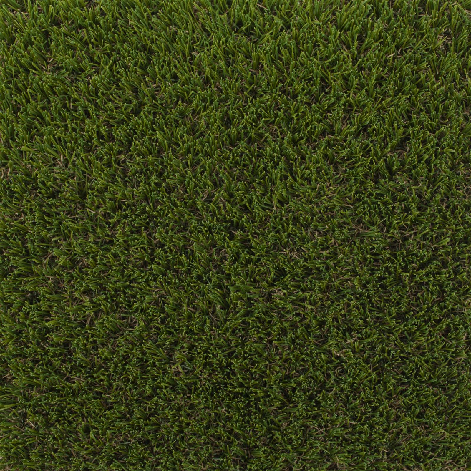 Fennel Artificial Grass - Far