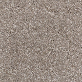 Grey Soft Supreme Action Back Saxony Carpet