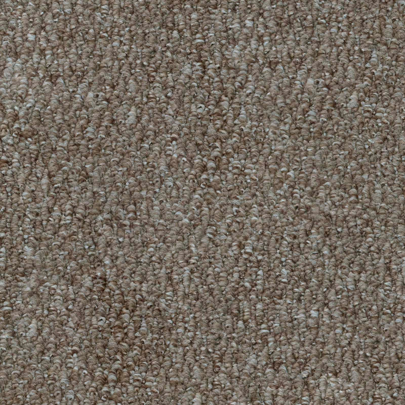 Light Brown Port Loop Carpet - Close